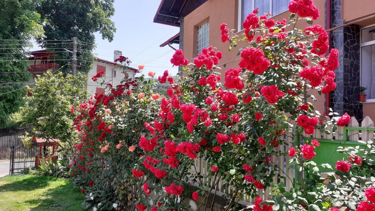 Vila Nadia Hotel Oesti-Paminteni Exterior photo