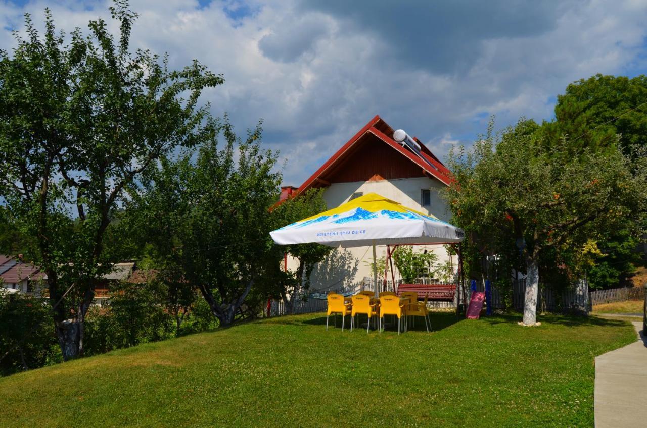 Vila Nadia Hotel Oesti-Paminteni Exterior photo
